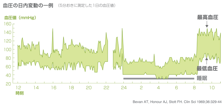 血圧の日内変動の一例（5分おきに測定した1日の血圧値）グラフ