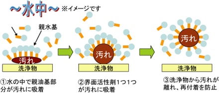 1,水の中で親油基部分が汚れに吸着 2,界面活性剤1つ1つが汚れに吸着 3,洗浄物から汚れが離れ、再付着を防止