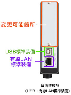 背面接続部（USB選択の場合）